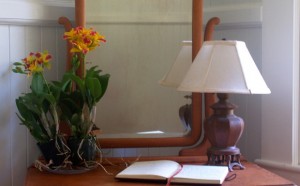 Waipio Wayside, Moon Room, Lamp, mirror and flowers behind an open book